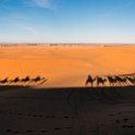 MAR DRA Merzouga 2017JAN02 SaharaDesert 004 : 2016 - African Adventures, 2017, Africa, Date, Drâa-Tafilalet, January, Merzouga, Month, Morocco, Northern, Places, Sahara Desert, Trips, Year